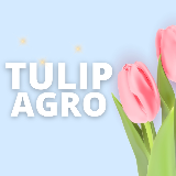 Tulip Agro